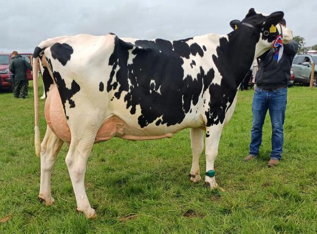 Chapelton Show