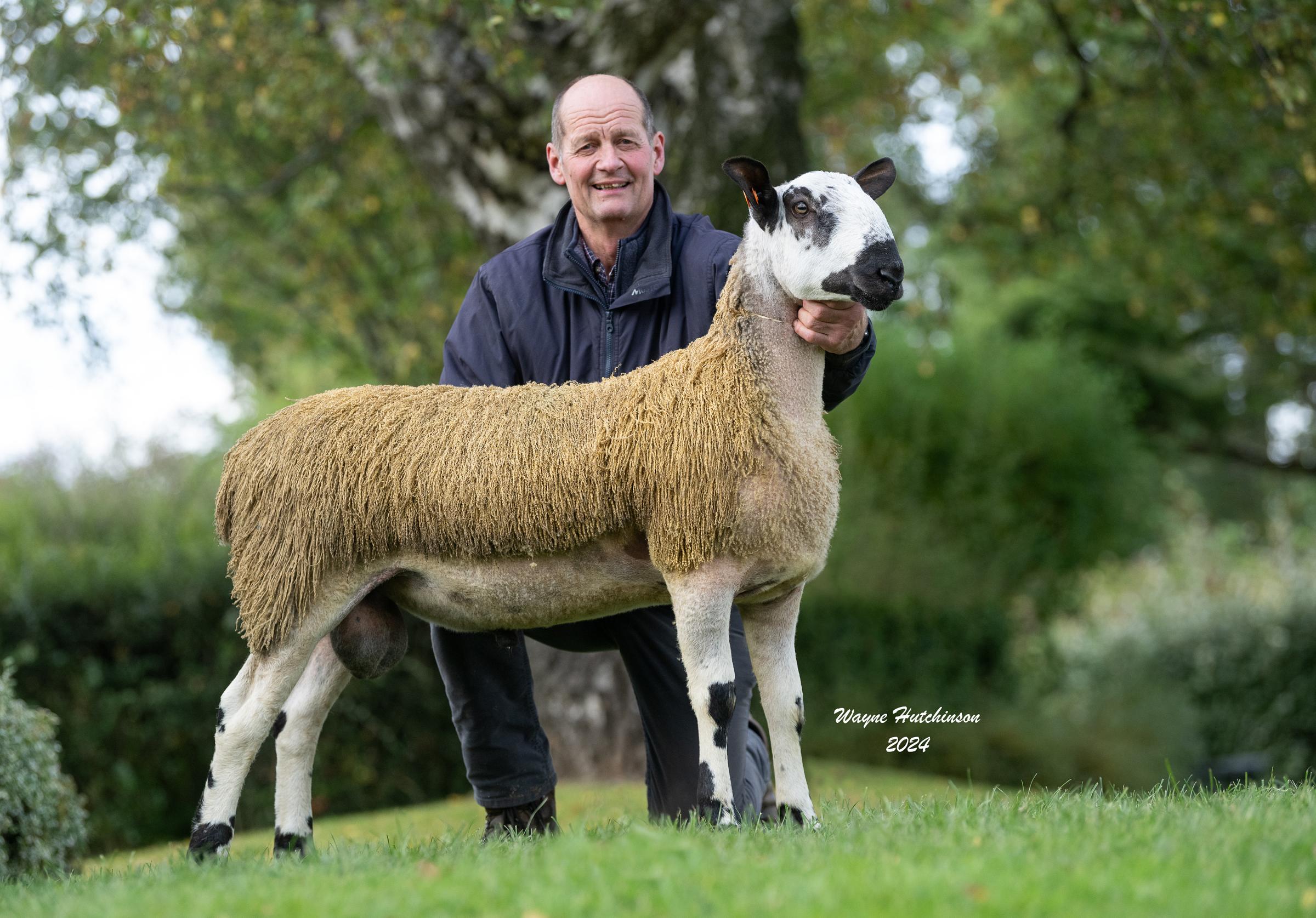 The best in the Carry House pen realised £5200 