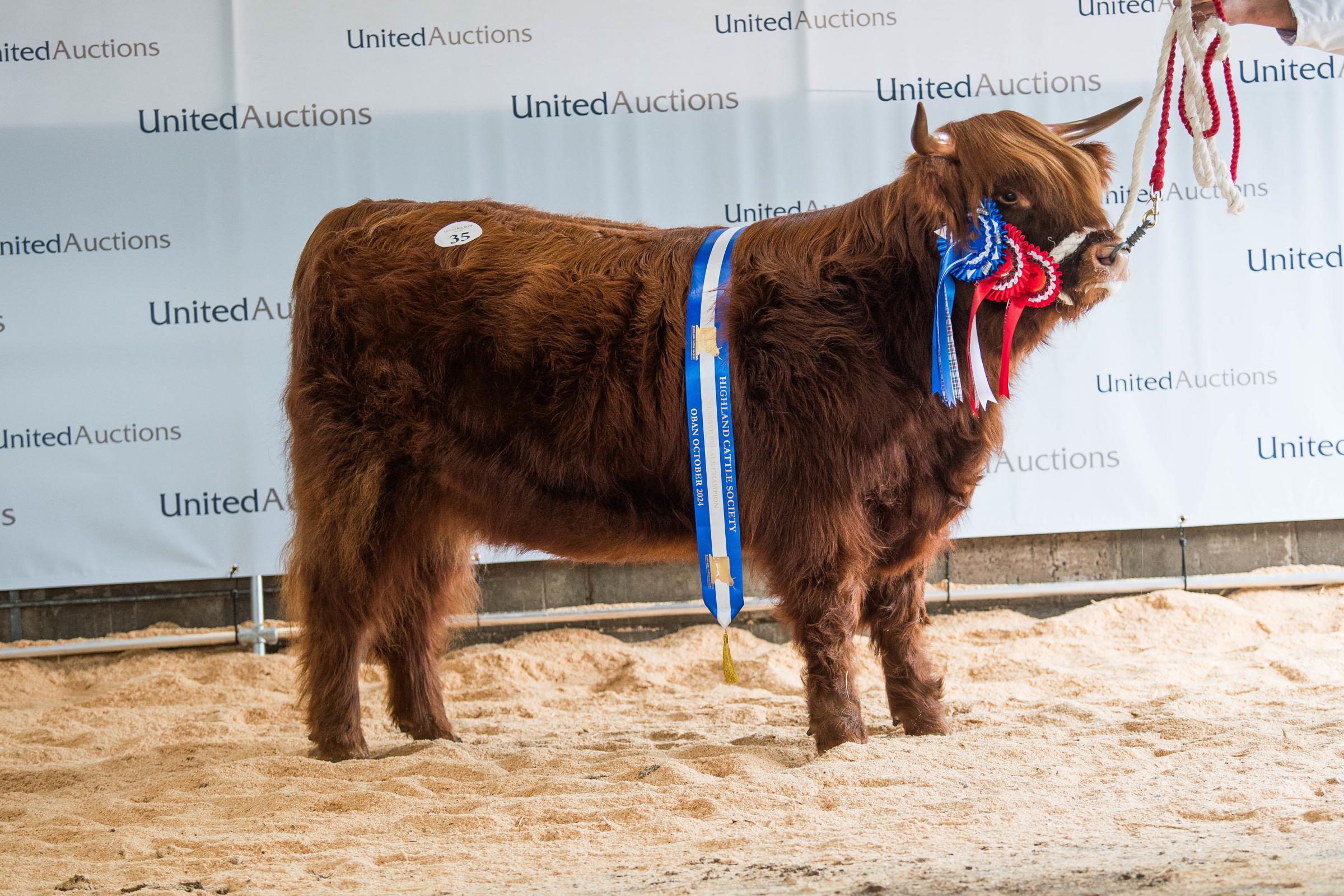 Reserve champion, Lora 2nd Of Leys realised 8000gns for Leys Castles Ref: RH141024044 