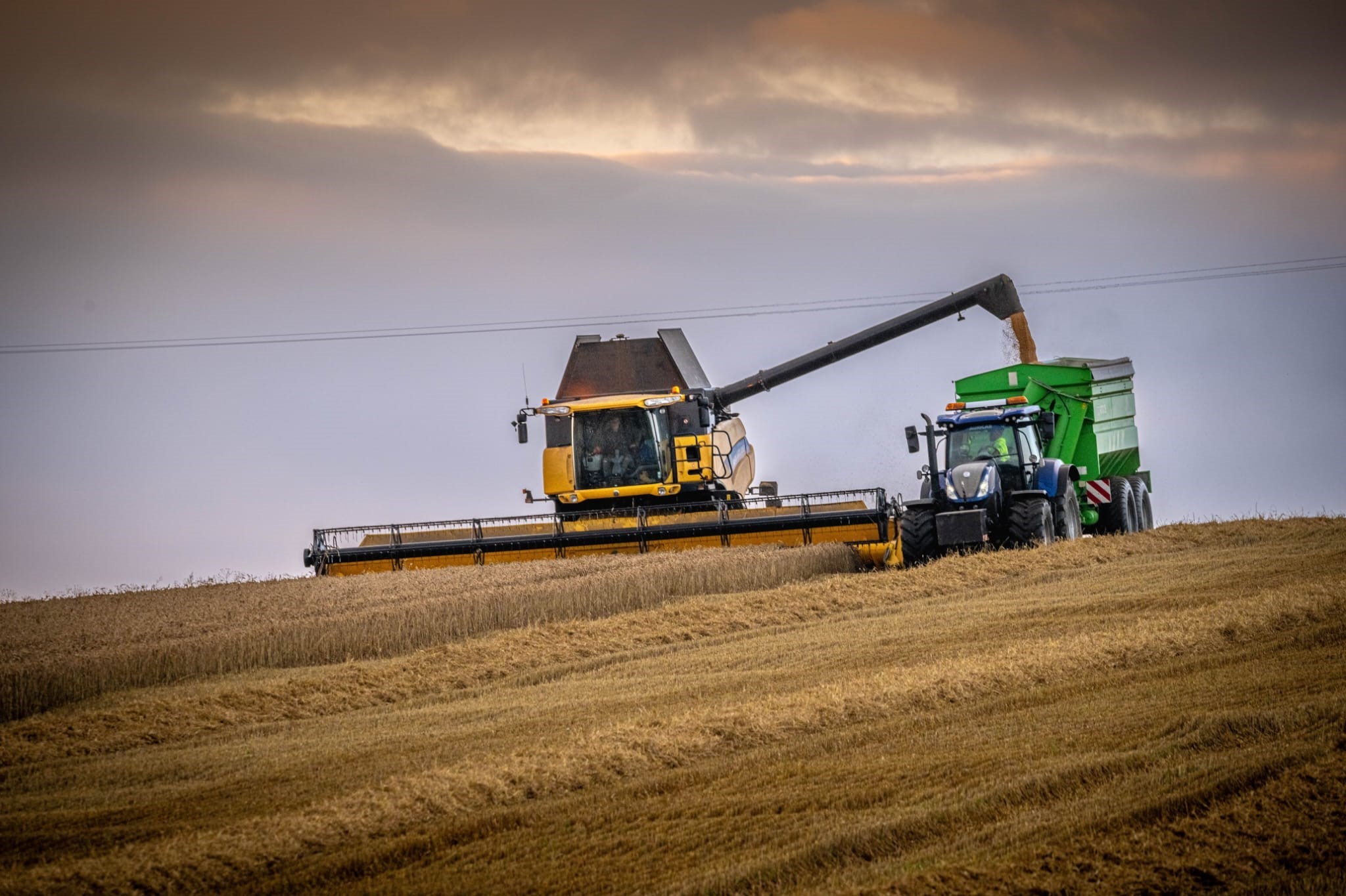 Balbirnie Home Farms