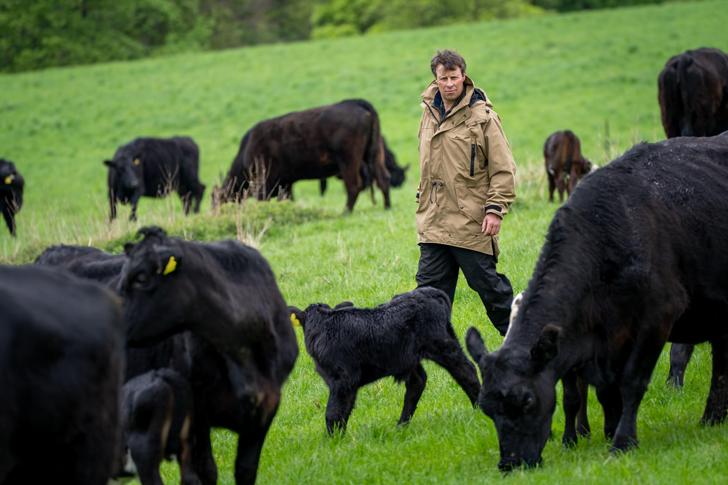 Alex Brewster, Rotmell Farm, Perthshire