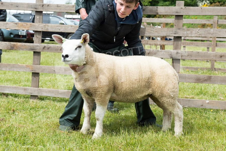 Dalry Show 2017