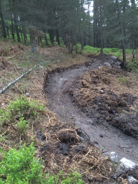 making mountain bike trails